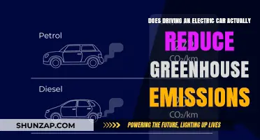 Electric Cars and Emissions: Do They Truly Reduce Greenhouse Gases?