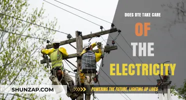Does DTE Ensure Reliable Electricity Supply for Consumers?