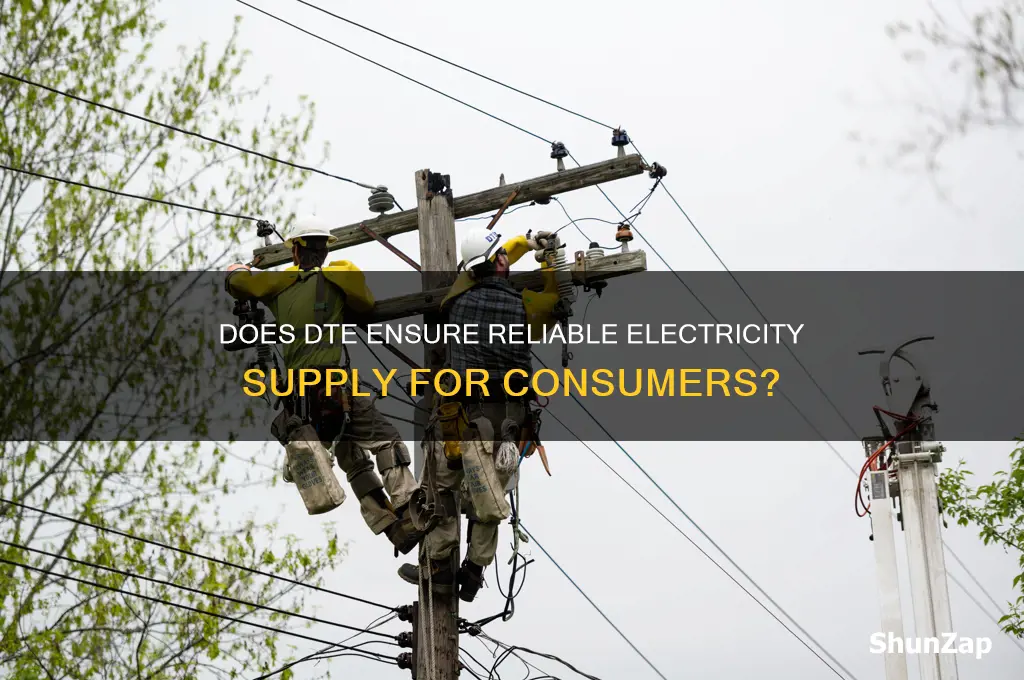 does dte take care of the electricity