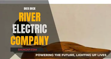 Duck River Electric Company: Powering Communities, Lighting Lives