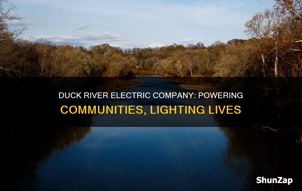 does duck river electric company
