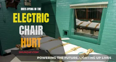 Electric Chair Execution: Painful Death or Peaceful Passing?
