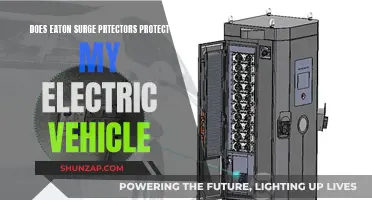 Surge Protectors: Electric Vehicle Charging Safeguards?