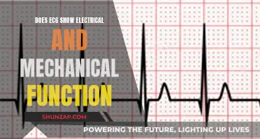 ECG: Electrical-Mechanical Heart Function Insight