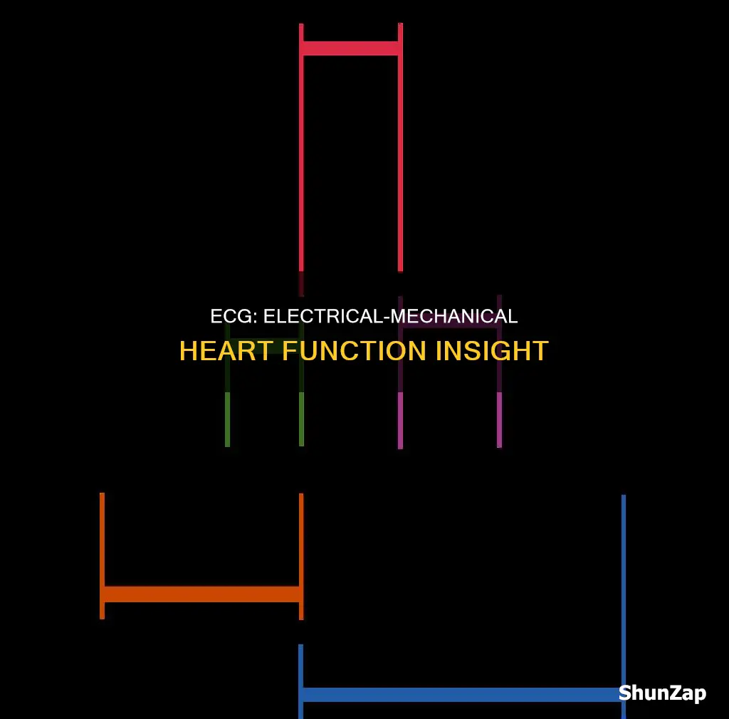 does ecg show electrical and mechanical function