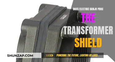 Banjo's Electric Shock: Activating the Transformer Shield?