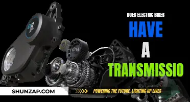 Electric Bike Mechanics: Do They Have a Transmission?