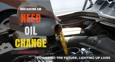 Electric Cars and Oil Changes: What You Need to Know