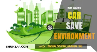 Electric Cars: Eco-Friendly Solution or Environmental Myth?