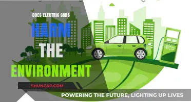 Do Electric Cars Harm the Environment? Uncovering the Green Truth
