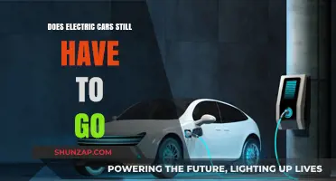 Electric Cars: The Future or Just a Passing Trend?