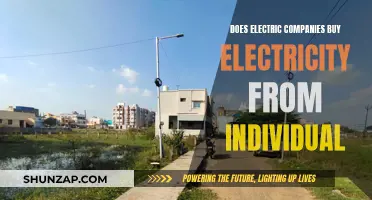 Electric Companies: Buying Power from Individuals?