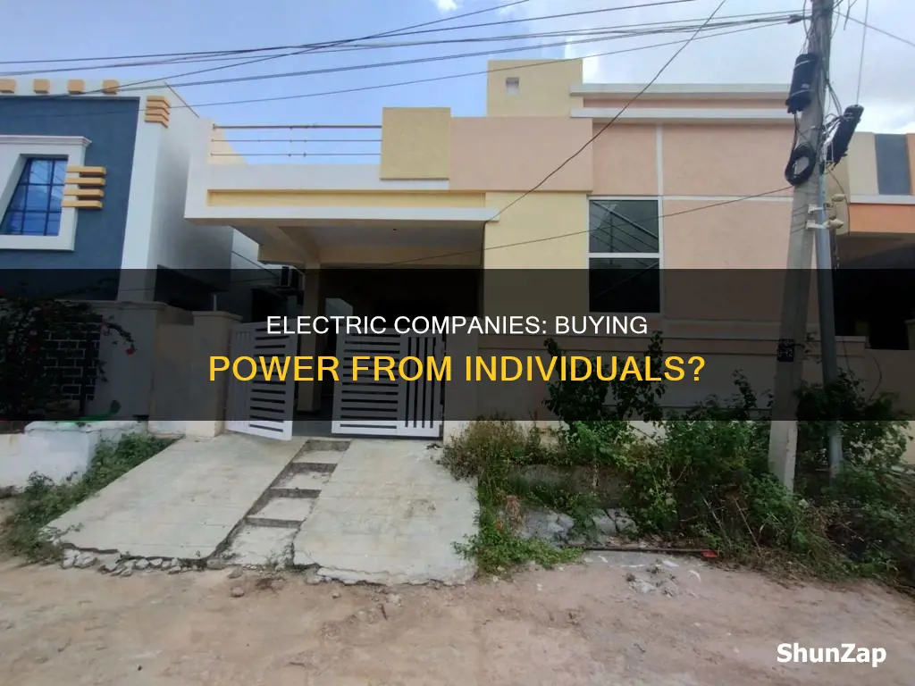 does electric companies buy electricity from individual