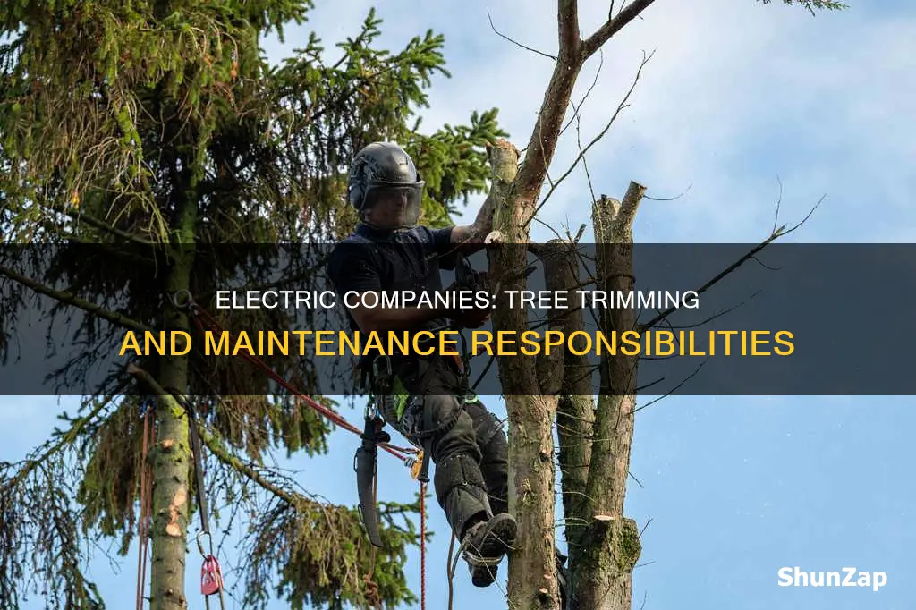 does electric company trim trees