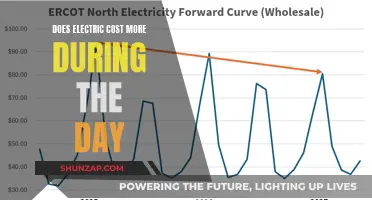 Daytime Electricity: Is It Costing You More?