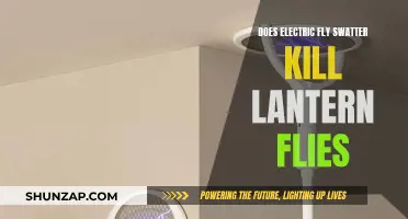 Electric Fly Swatters: Killing Lantern Flies Instantly?