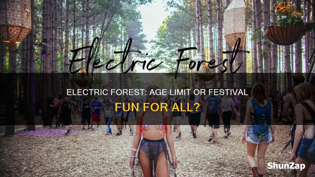 does electric forest have an age limit