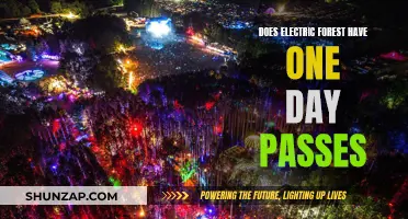 Electric Forest: One-Day Passes Availability and Benefits