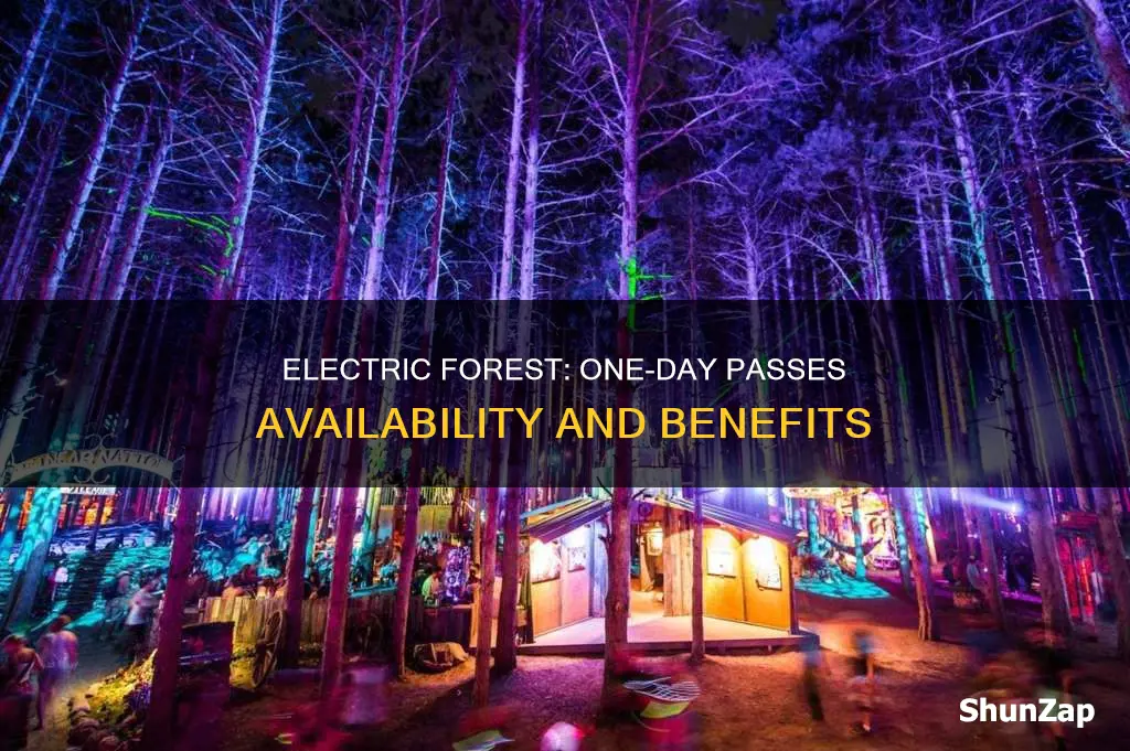 does electric forest have one day passes