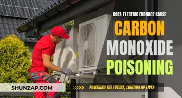 Electric Furnace and Carbon Monoxide Poisoning: What's the Link?