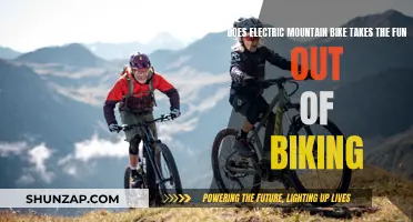 Electric Mountain Bikes: Fun or Not?