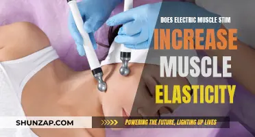 Electric Muscle Stimulation: Increasing Elasticity and Muscle Tone