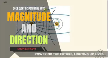 Electric Potential: Understanding Magnitude and Direction