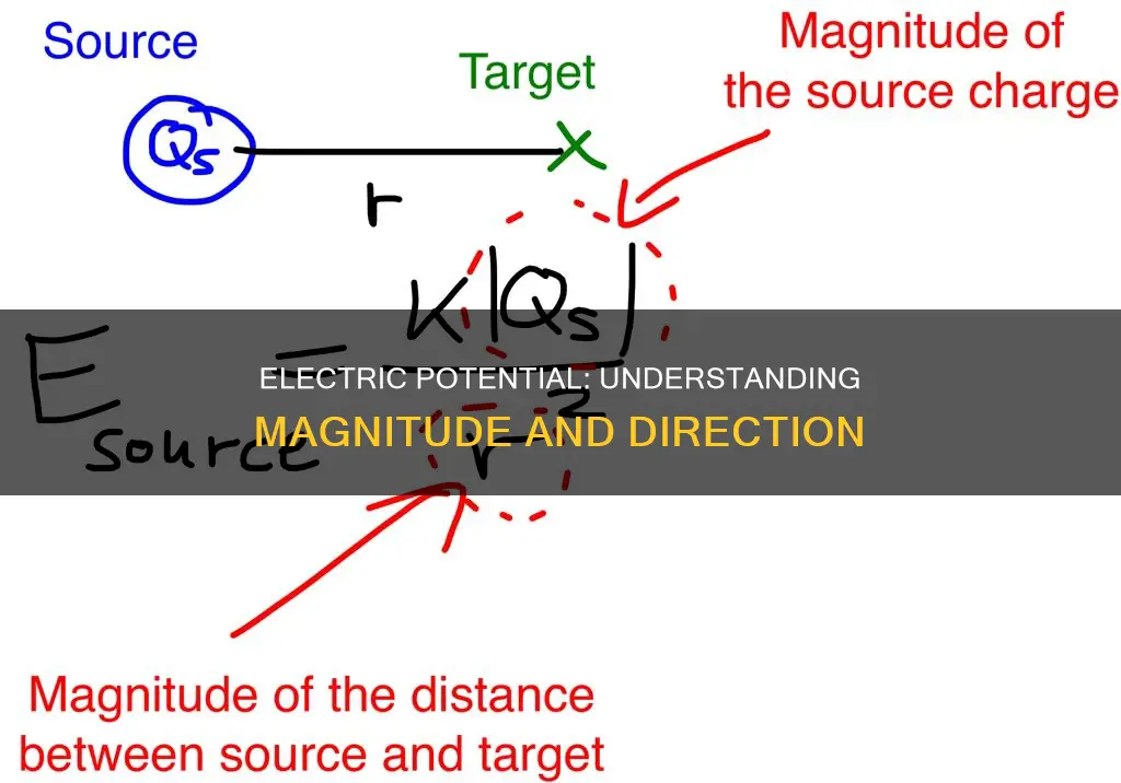 does electric potential have magnitude and direction