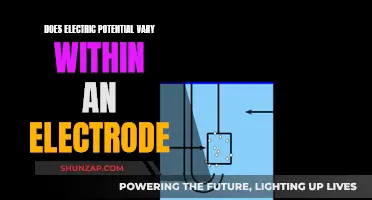 Electric Potential: Electrode Variation Explored
