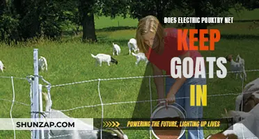Electric Poultry Net: Effective Goat Barrier?