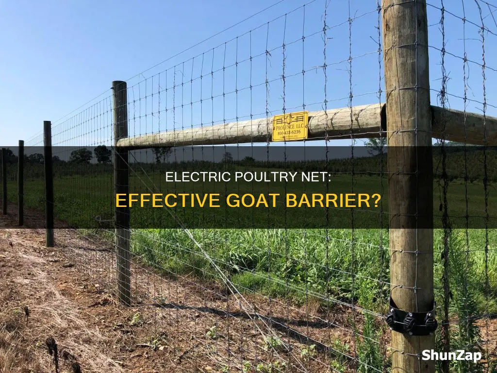 does electric pouktry net keep goats in