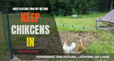 Electric Poultry Netting: Effective Chicken Control?
