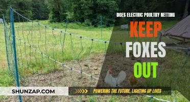 Electric Poultry Netting: Effective Fox Barrier?