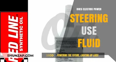 Electric Power Steering: Fluid-Free or Fluid-Dependent System?