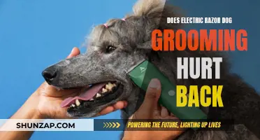 Electric Razor Dog Grooming: Back Pain or Comfort?