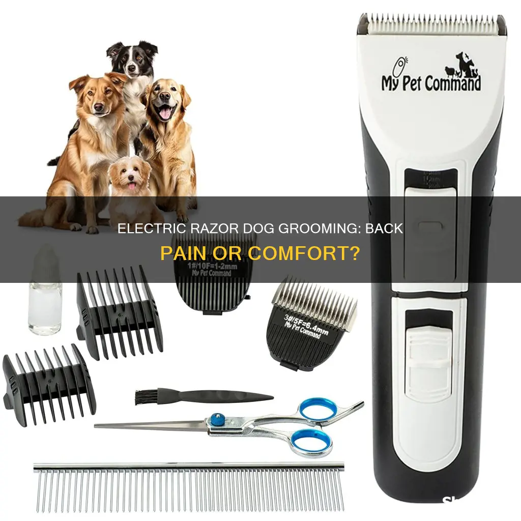 does electric razor dog grooming hurt back