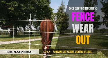 Electric Rope Horse Fence: Does It Need Replacing?