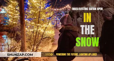 Electric Safari: Open in Snowy Weather?