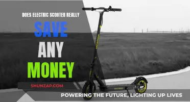 Electric Scooters: Money Saver or Money Pit?