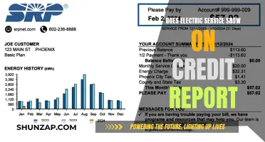 Electric Service: Credit Report Impact and Your Finances