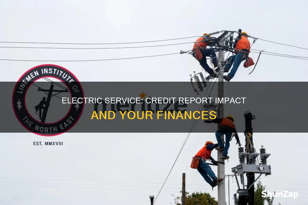 does electric service show on credit report