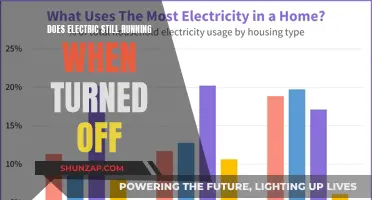 Electricity and Appliances: Off but Still Running?
