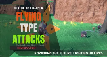 Electric Terrain's Impact: Can Flying Types Still Attack?