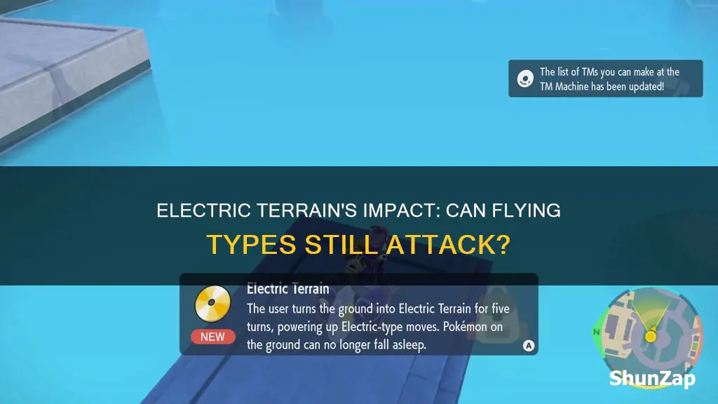 does electric terrain stop flying type attacks