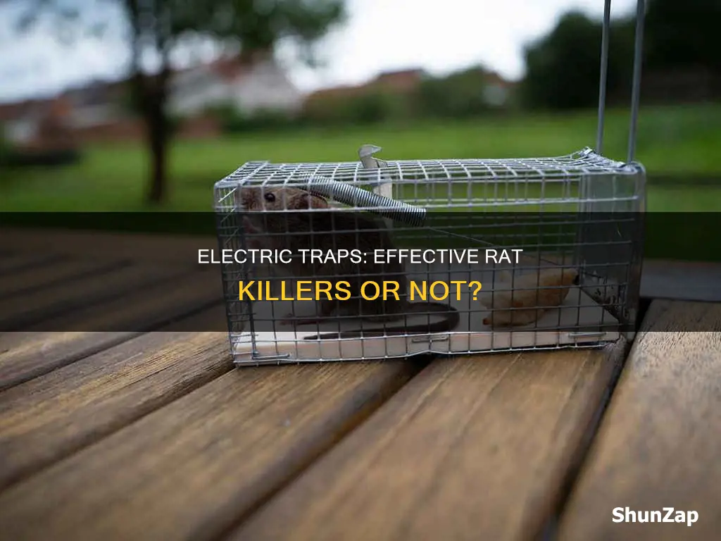 does electric trap guarantee a rat kill