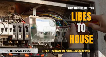 Electric Utility: House Line Repairs and Maintenance