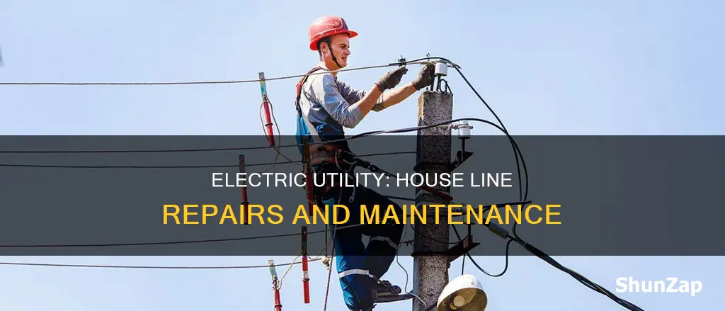 does electric utility fix libes to house