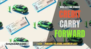 Electric Vehicle Tax Credit: Carry-Forward Benefits for Future Purchases