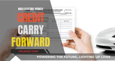 Electric Vehicle Credit: Carry Forward or Claim Now?