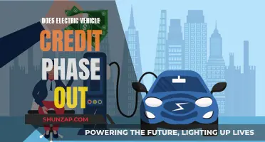 Electric Vehicle Tax Credit: Phasing Out or Phasing In?